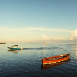 Punta Gorda Scenic River