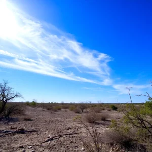 South Florida Landscape Red Flag Warning