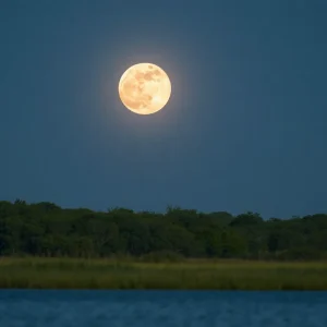 Full moon illuminating Tampa Bay skies with visible planets