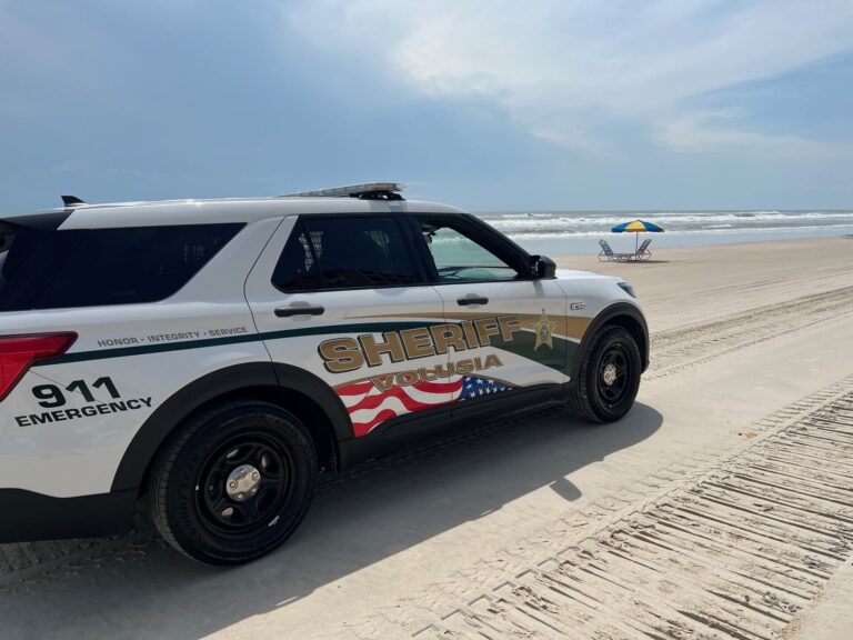 Ghost Sting Sweep Nets 16 Domestic Violence Arrests Near Tampa